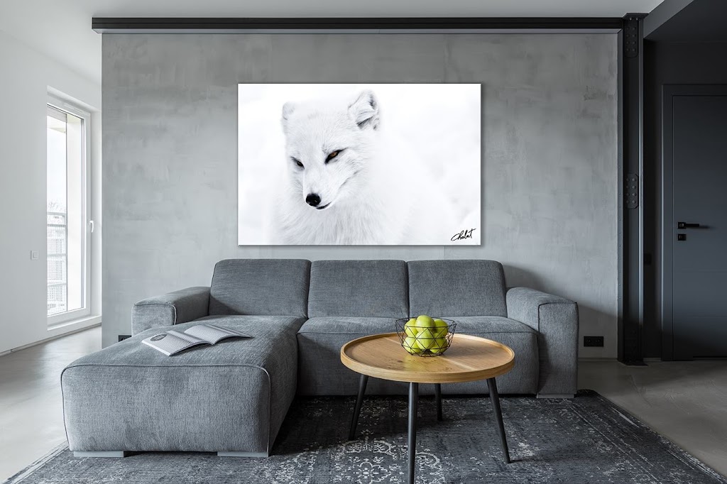 Sebastien Chalut - Photo I Video | 1058 Rue de Chambord, Saint-Jérôme, QC J5L 2S7, Canada | Phone: (514) 967-0519