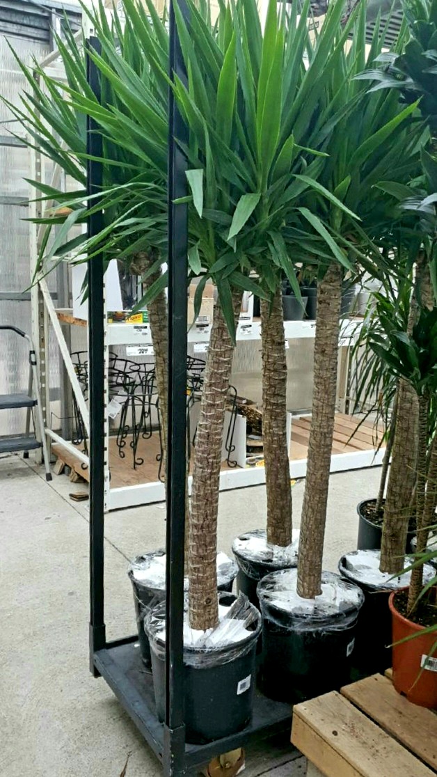 Garden Centre at The Home Depot | 428 Ellesmere Rd, Scarborough, ON M1R 4E6, Canada | Phone: (416) 609-1800