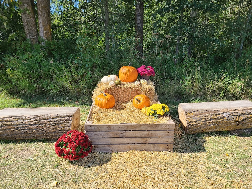 Somerset Pumpkin Farms | 1423 Township Rd 514, Parkland County, AB T7Y 2P5, Canada | Phone: (780) 983-5664