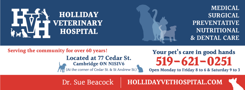 Holliday Veterinary Hospital | 77 Cedar St, Cambridge, ON N1S 1V6, Canada | Phone: (519) 621-0251