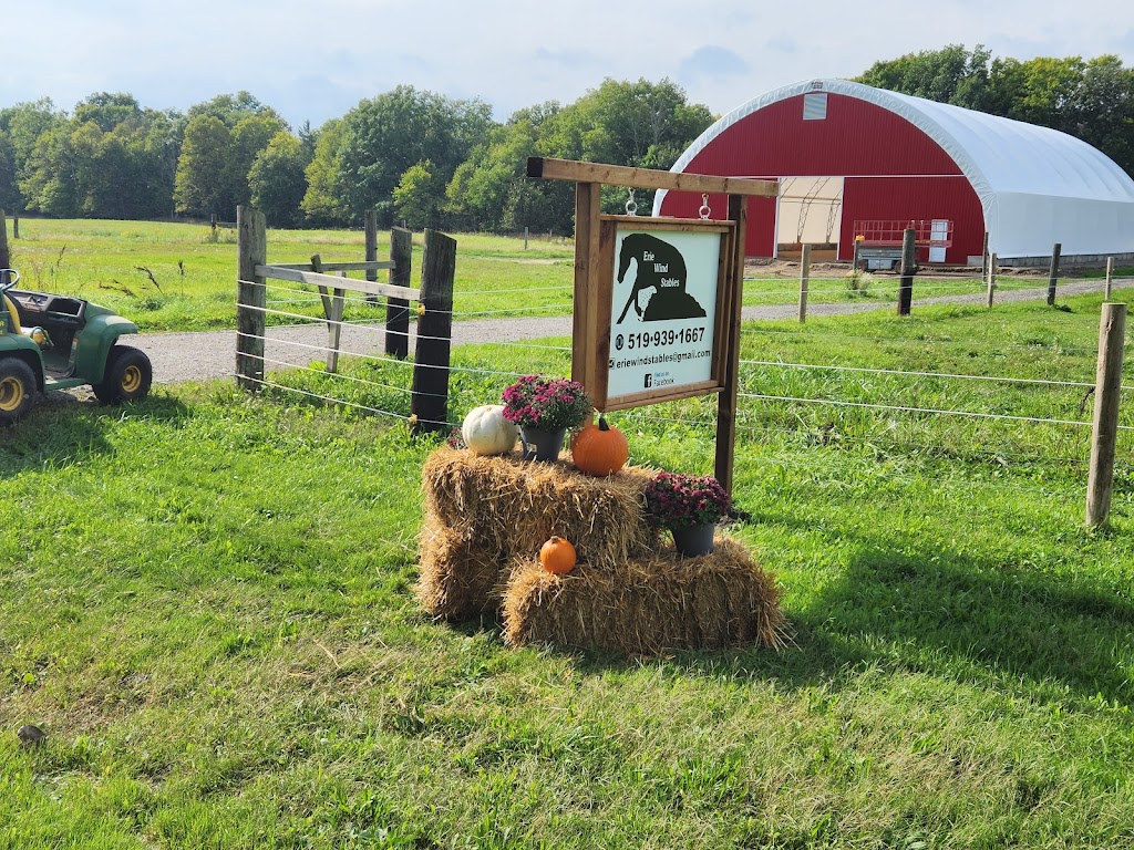 Erie Wind Stables | 24782 Silver Clay Line, West Lorne, ON N0L 2P0, Canada | Phone: (519) 939-1667
