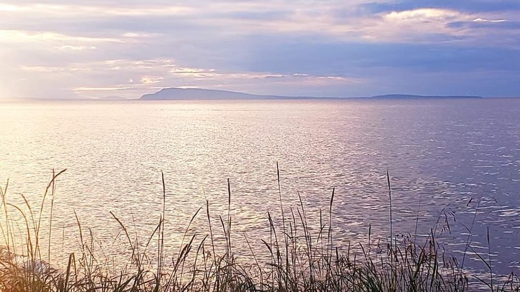 Knotty Shores | 3153B Metchosin Rd, Victoria, BC V9C 1Z9, Canada | Phone: (778) 977-6615