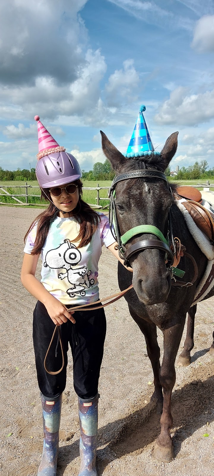 Grace Acres Equine Connection | 2050 Vent Rd, Napanee, ON K7R 3K9, Canada | Phone: (613) 214-2963