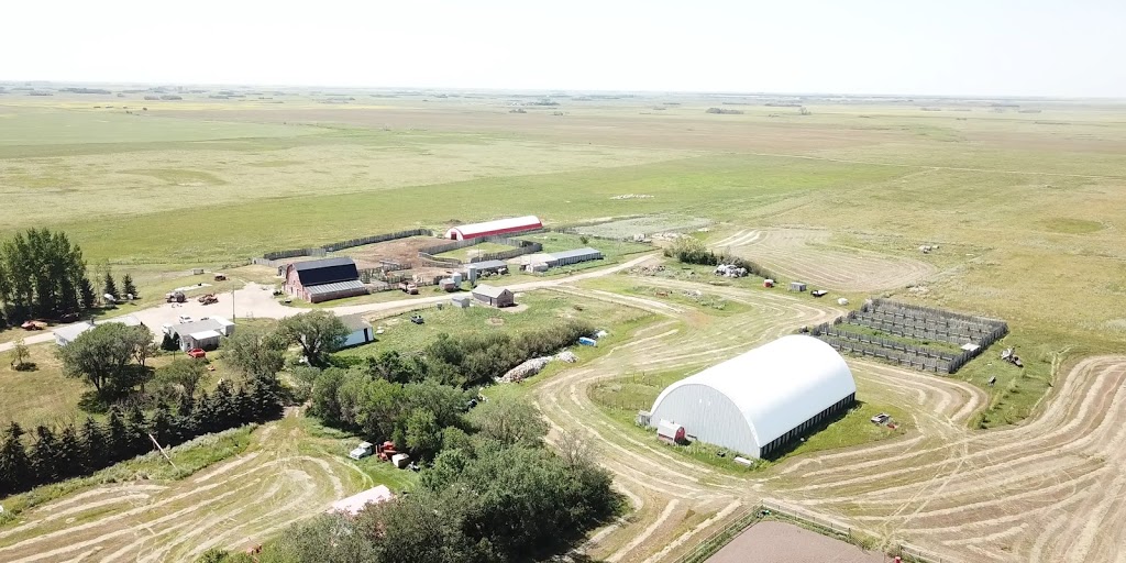 JE Ranch Inc | NW10-23-25 W2 - Box 83, Holdfast, SK S0G 2H0, Canada | Phone: (306) 488-4408