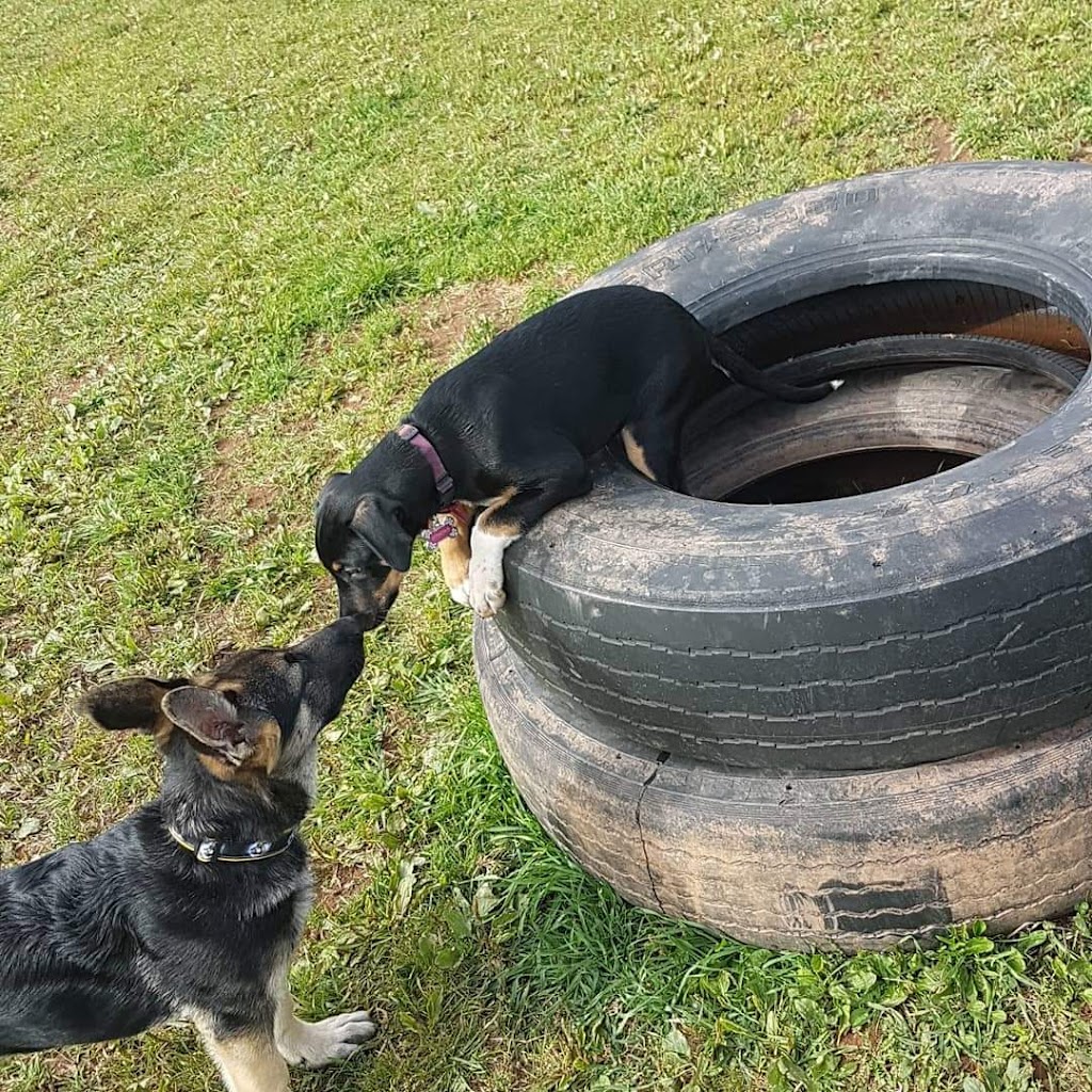 PEI Humane Society | PEI Humane Society, 309 Sherwood Rd, Charlottetown, PE C1E 0E5, mailing, 309 Sherwood Rd, Charlottetown, PE C1A 9E3, Canada | Phone: (902) 892-1190