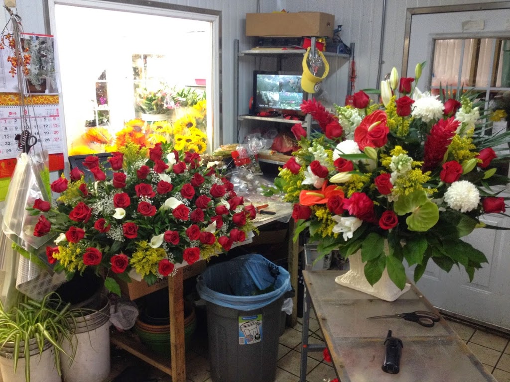 Bobs Garden Centre | 959 Mt Pleasant Rd, Toronto, ON M4P 2L8, Canada | Phone: (416) 482-0373