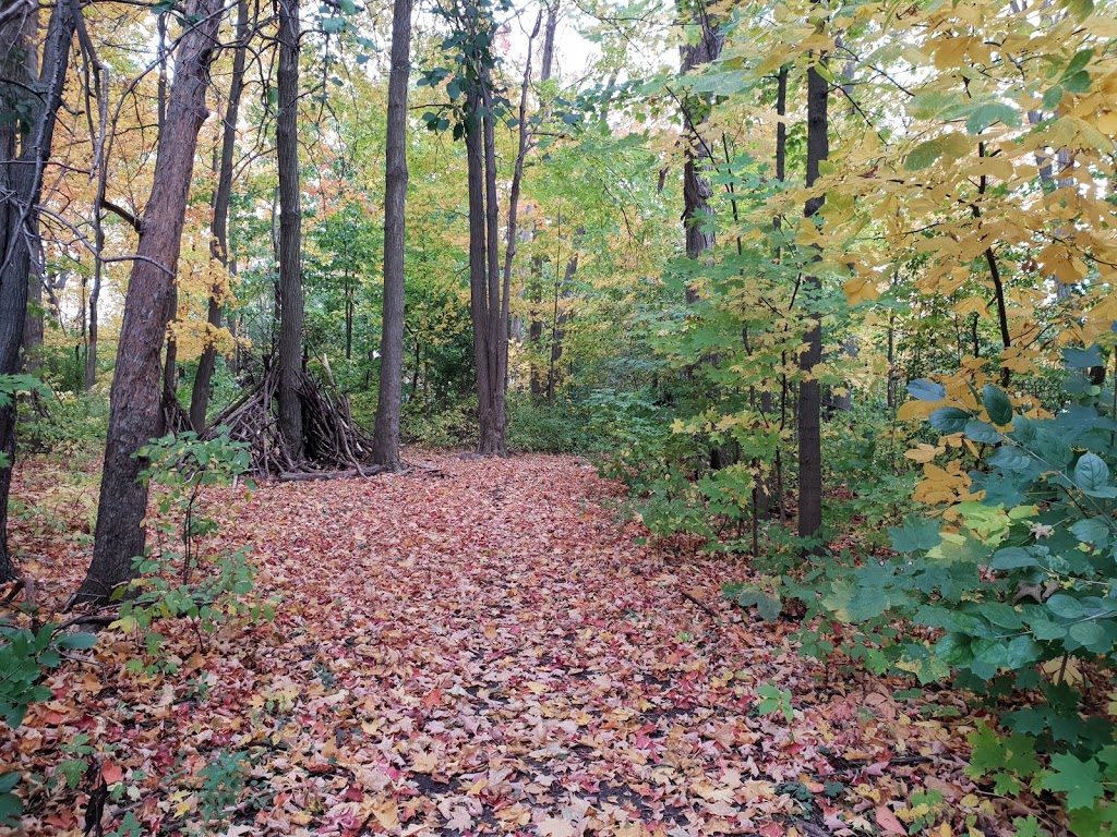 Richvale Greenway Park | Unnamed Road, Richmond Hill, ON L4C 5J2, Canada