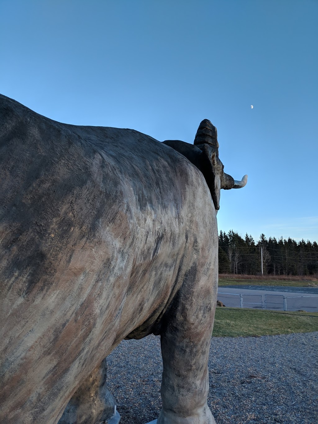 Mastadon Ridge | Stewiacke, NS B0N 2J0, Canada