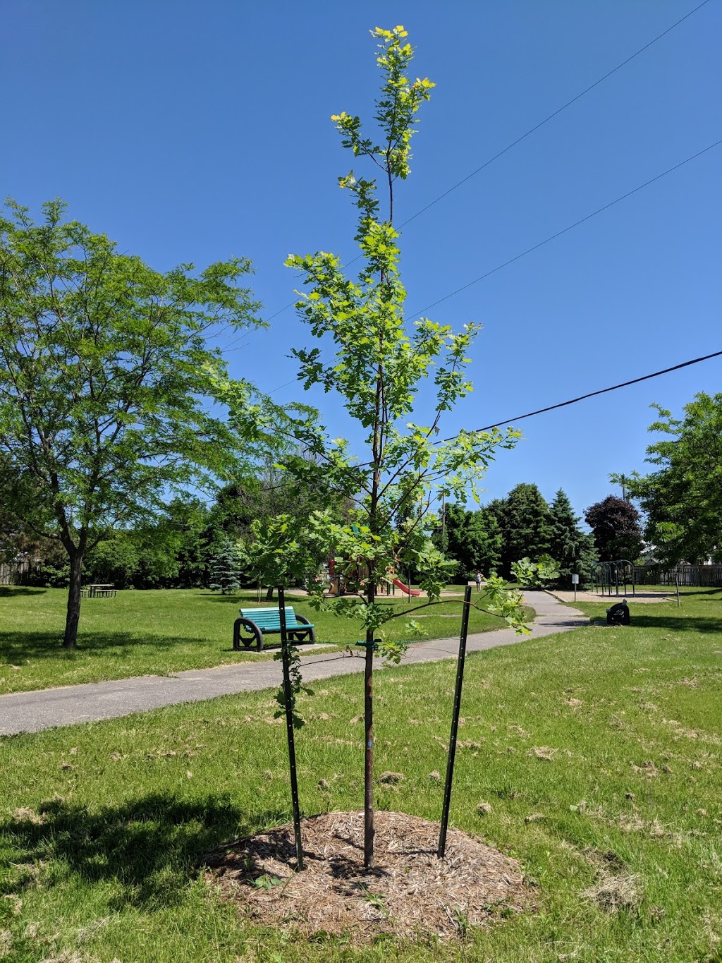 Margueritess Park | 4 Rue des Marguerites, Gatineau, QC J8R 2B4, Canada | Phone: (819) 595-2002