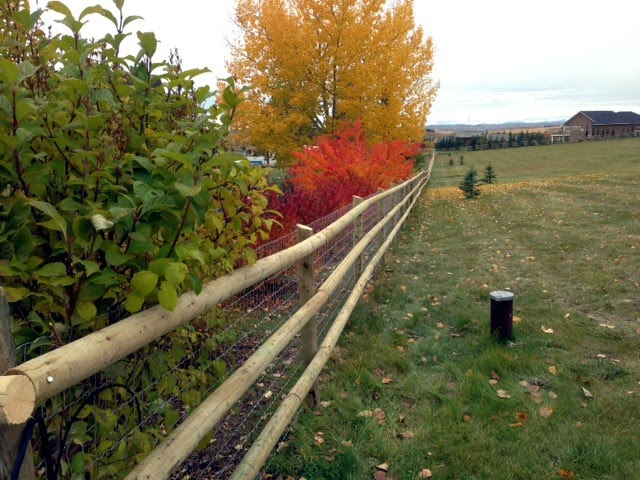 Cottams Fencing and Contracting | 783 Lake Twintree Crescent SE, Calgary, AB T2J 2W2, Canada | Phone: (403) 203-3409