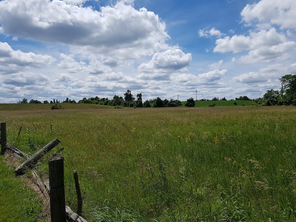Scotsdale Farm | 13807 Trafalgar Rd N, Georgetown, ON L7G 4S4, Canada | Phone: (289) 924-0215