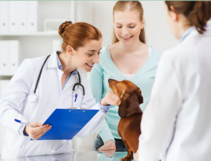 Stave Lake Veterinary Hospital | 7871 Stave Lake St E130, Mission, BC V2V 0B5, Canada | Phone: (604) 286-0160
