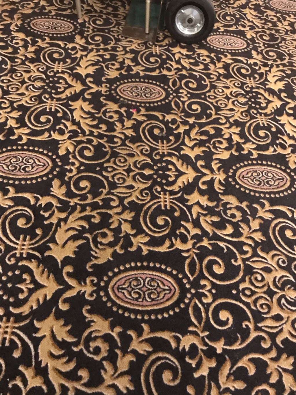 A1 Expert Carpet Cleaning Surrey | 15655 107 Ave, Surrey, BC V4N 3H8, Canada | Phone: (604) 442-6405