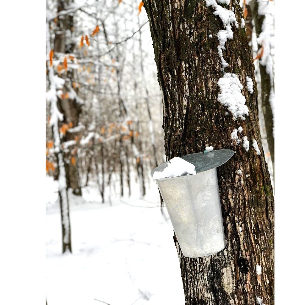 Spirit Rock Maple | 1019 Bruce County Rd 9, Wiarton, ON N0H 2T0, Canada | Phone: (519) 216-4241