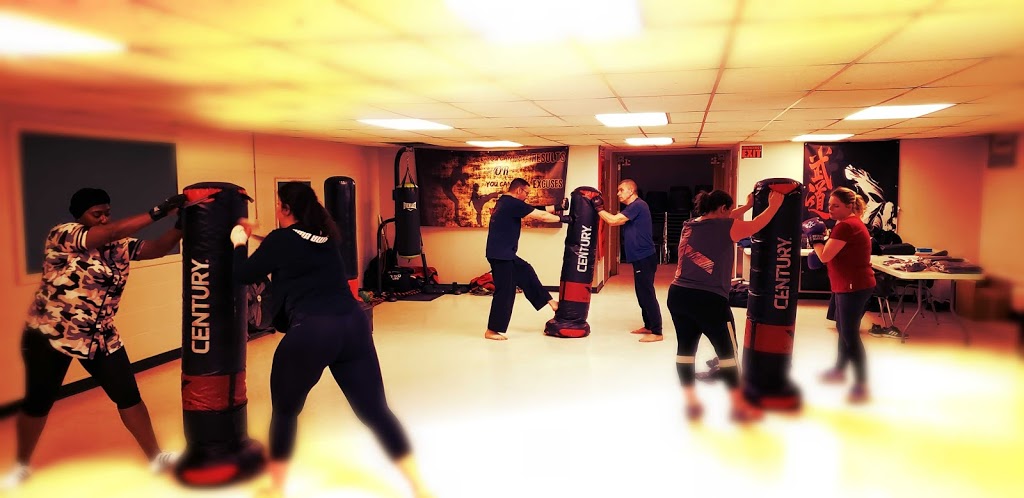 Northern Fist Martial Arts | 4276 Roseland Dr E, Windsor, ON N9G 1Y7, Canada | Phone: (226) 782-9456