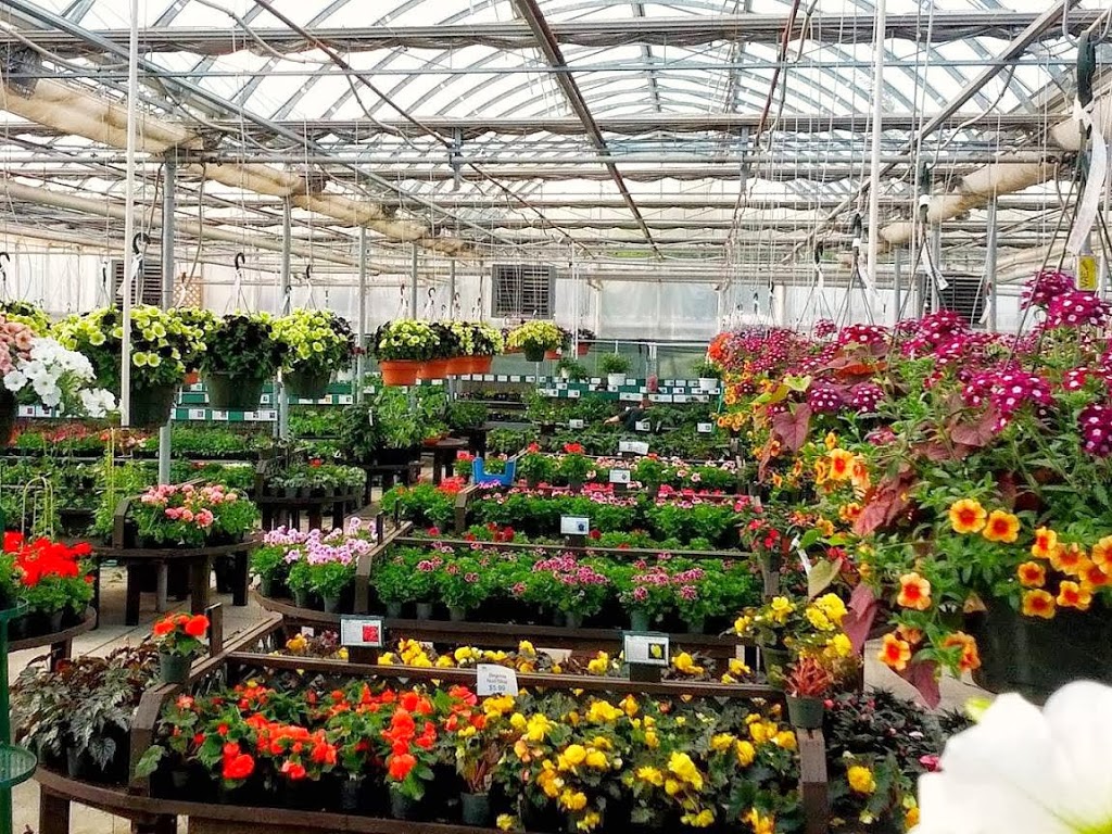 Root Seller, The | 16735 Zaychuk Rd NW, Edmonton, AB T5Y 6G5, Canada | Phone: (780) 473-2588