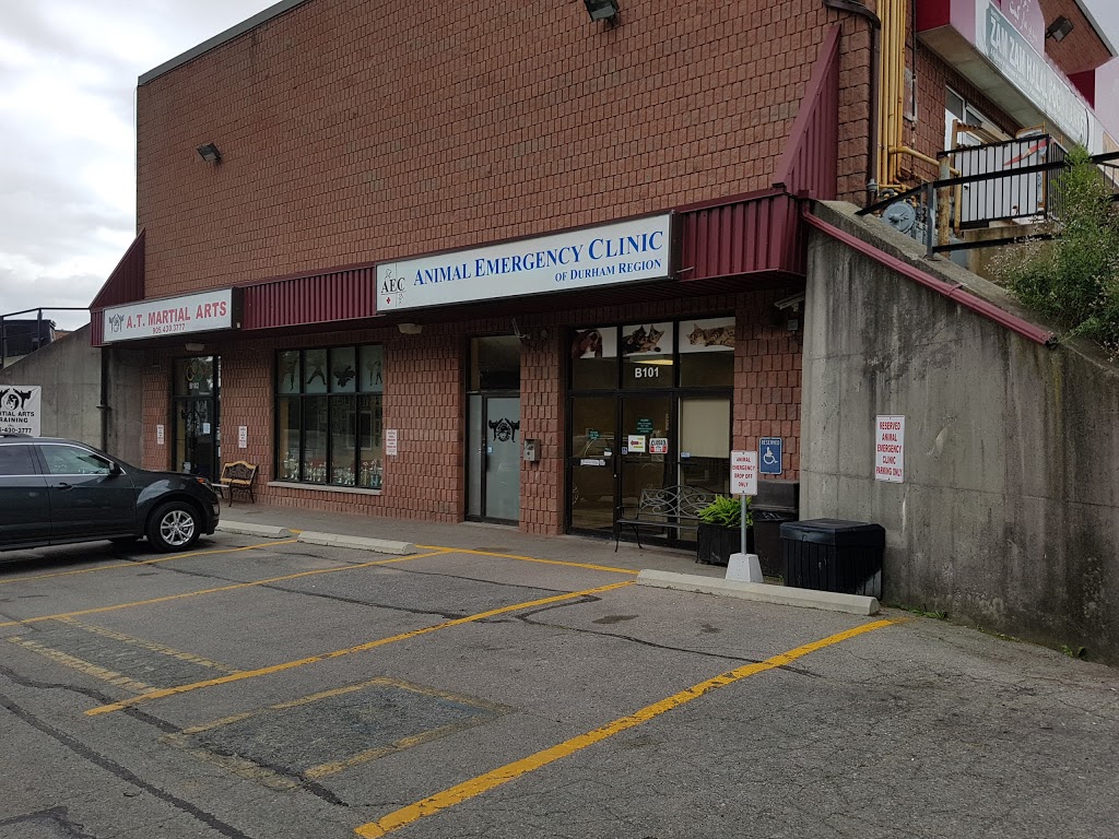 Animal Emergency Clinic of Durham Region | 1910 Dundas St E b101, Whitby, ON L1N 2L6, Canada | Phone: (905) 576-3031