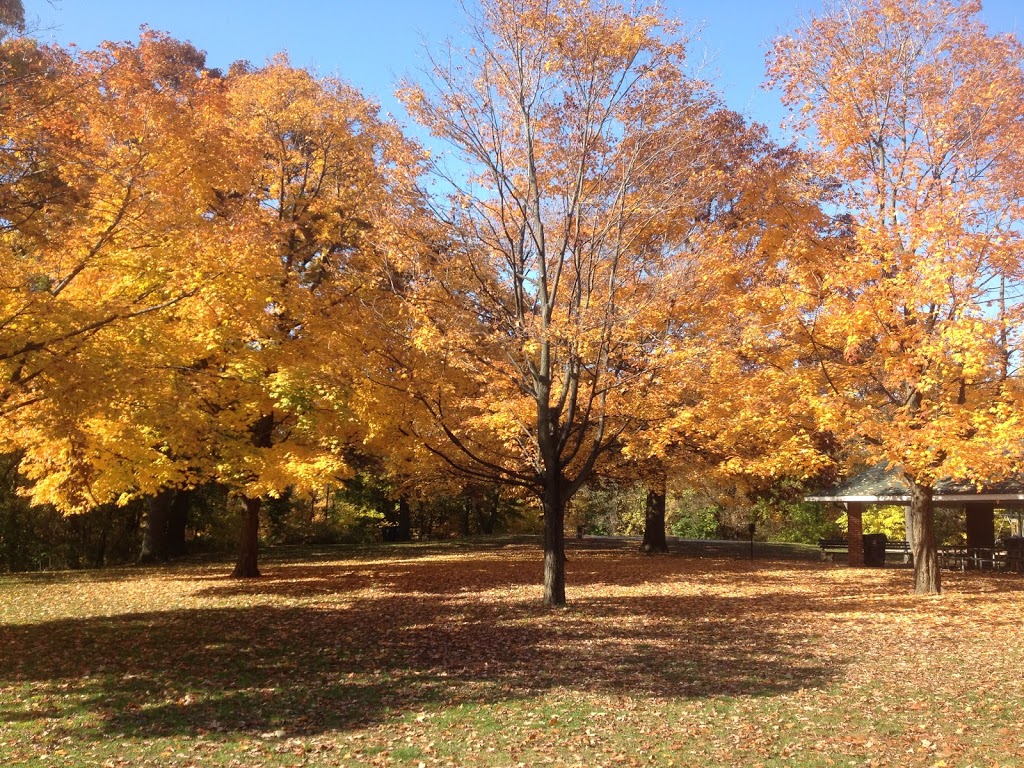 High Park Wading Pool, Splashpad and Playground | 8 Wendigo Way, Toronto, ON M6S 2T9, Canada | Phone: (416) 338-4386