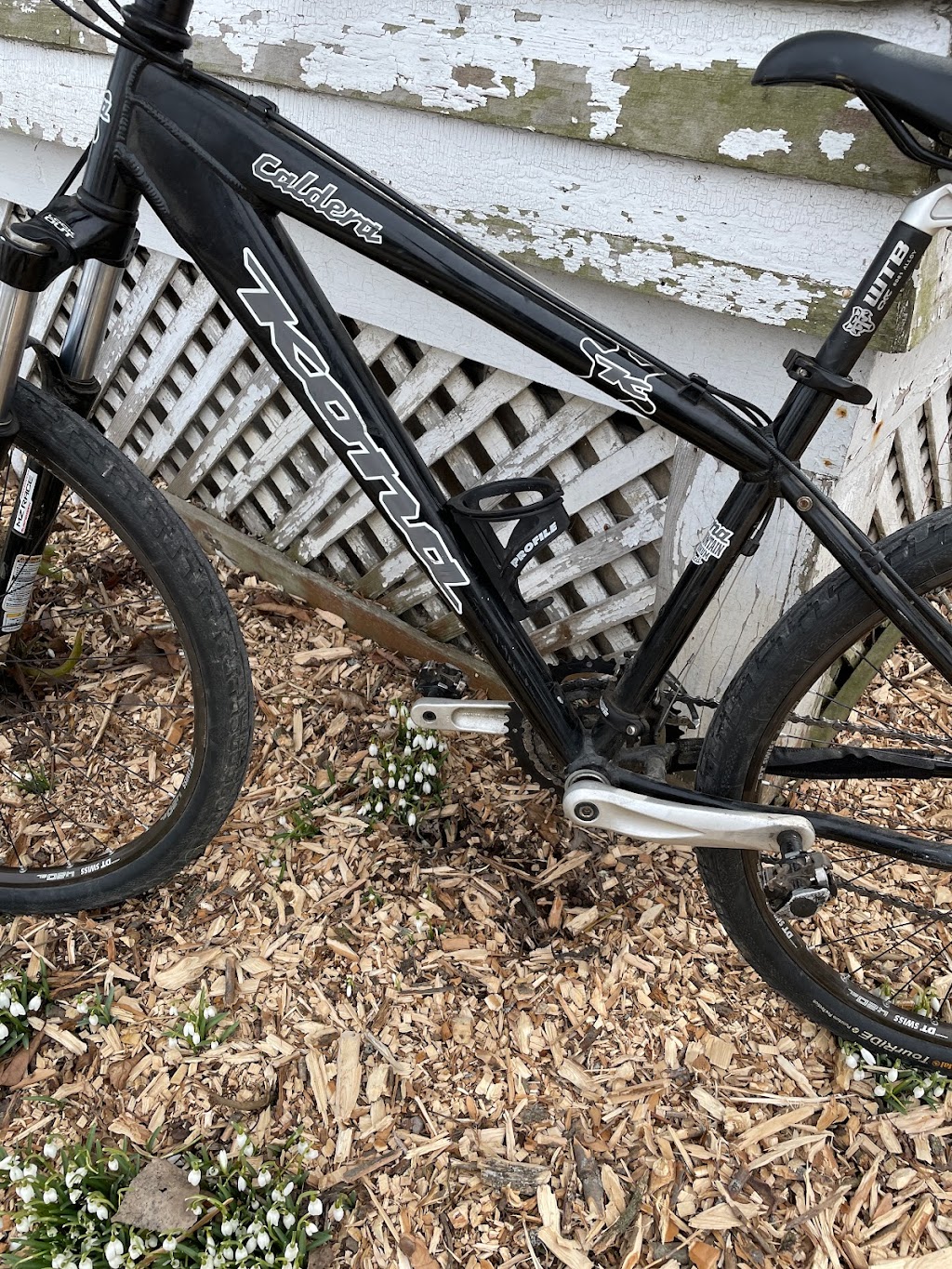 North Shore Cycle Mobile | 11 Oak Ridge Ct, Port Dover, ON N0A 1N7, Canada | Phone: (519) 757-7866