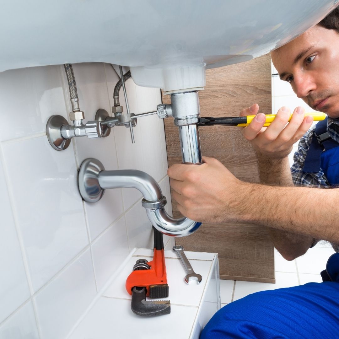 CNF Services | 2967 Dundas St W, Toronto, ON M6P 1Z2, Canada | Phone: (647) 812-4767