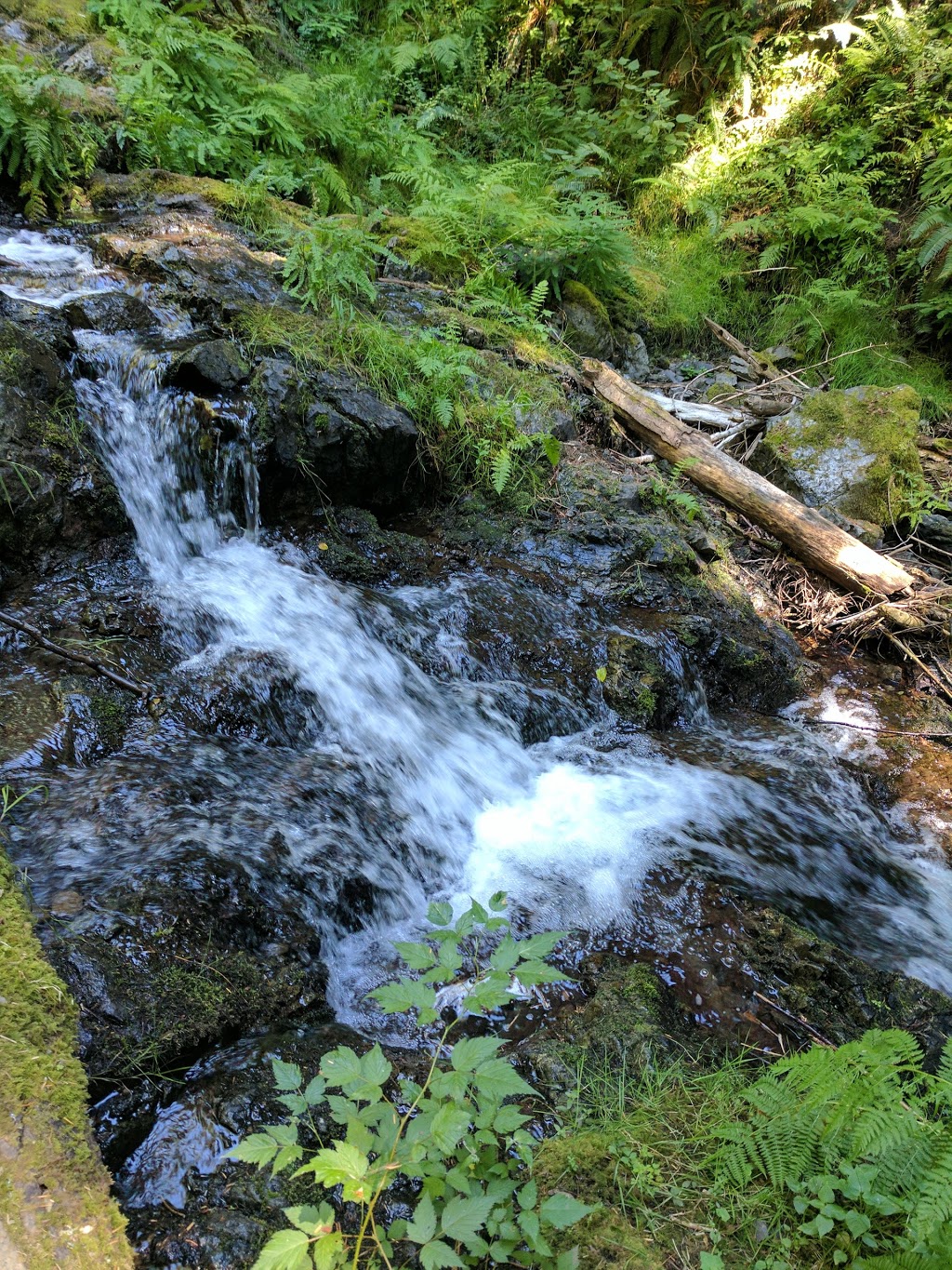 Evergreen Cottage at Rosario | 1229 Rosario Rd, Eastsound, WA 98245, USA | Phone: (877) 328-2303