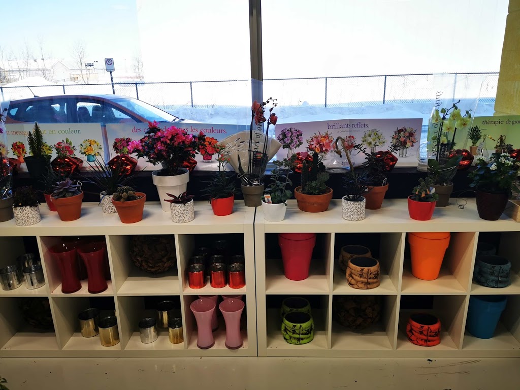 Mademoiselle la Fleuriste & Smith | 150 Rue Jean Coutu Local # 111, Varennes, QC J3X 0E1, Canada | Phone: (450) 674-6243