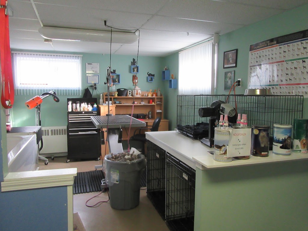 AT BEAUTY SALON DOG AND CAT | 1735 Av. de la Famille, Québec, QC G2G 1M2, Canada | Phone: (418) 877-5171