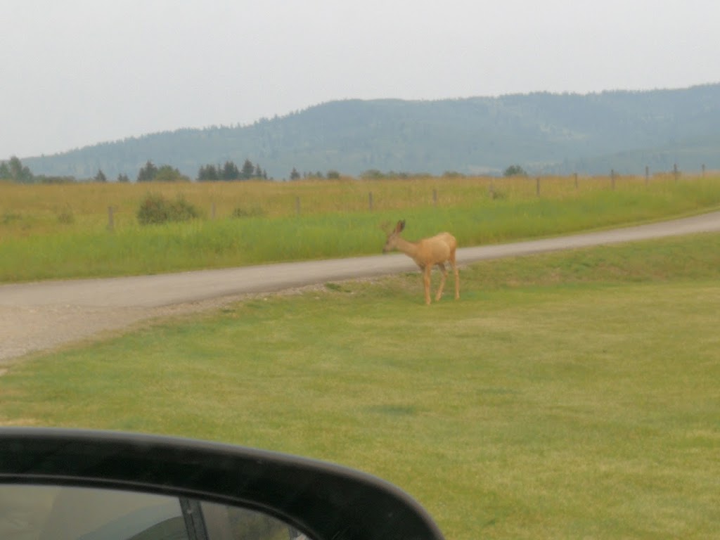 Chain Lakes Provincial Park | Unnamed Road, 1R0, Nanton, AB T0L 1H0, Canada | Phone: (403) 627-1165