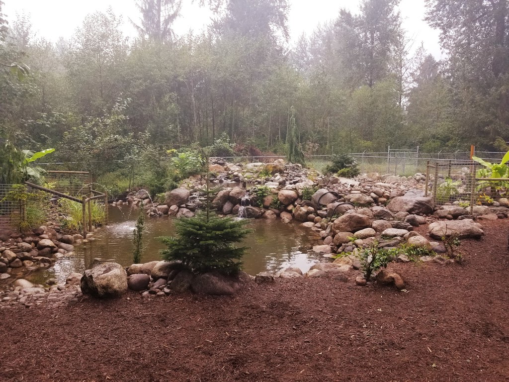 Silverdale Doggy Vacation Lodge | 9221 Woodward St, Mission, BC V4S 1H9, Canada | Phone: (604) 820-3230