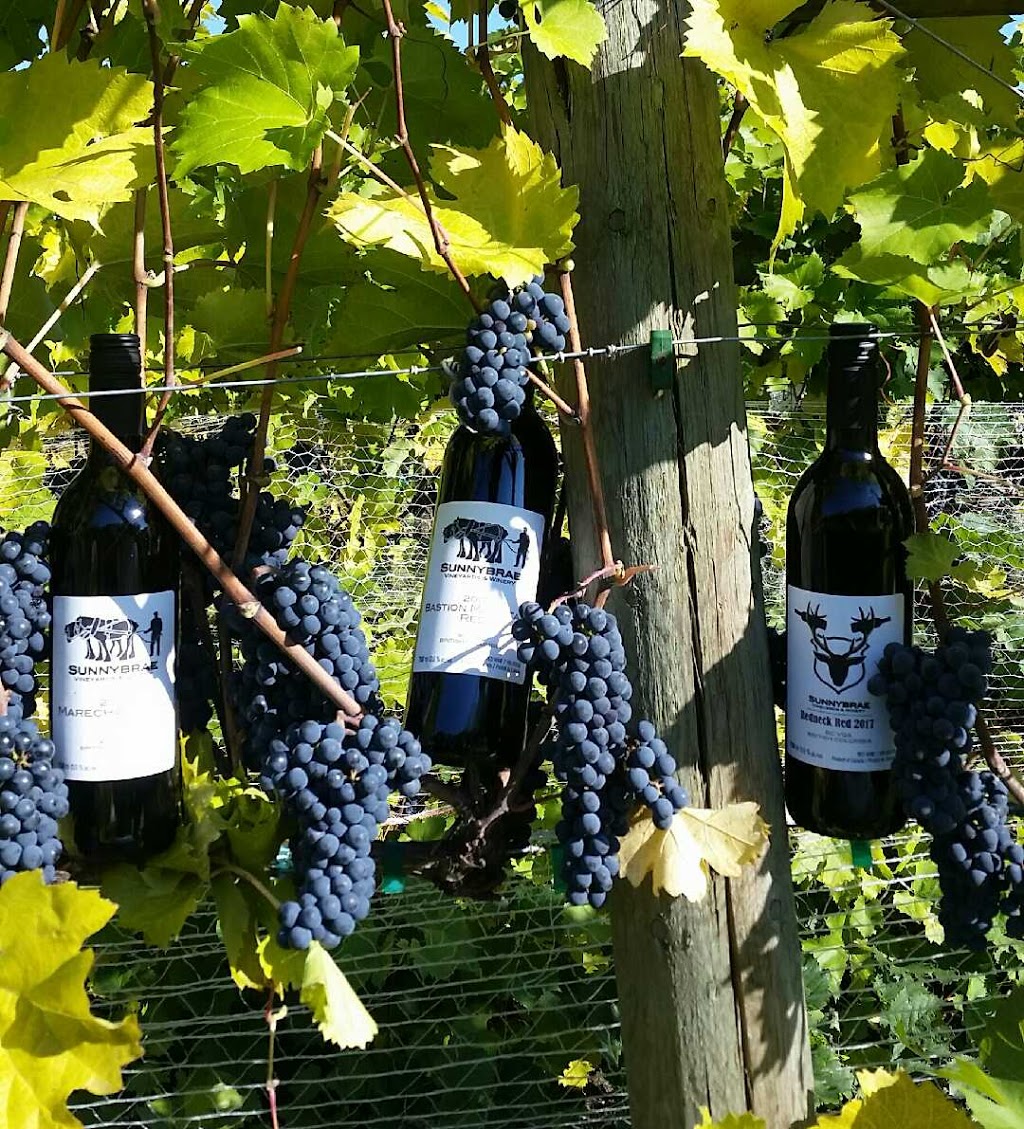 Sunnybrae Vineyards & Winery | 3849 Sunnybrae-Canoe Point Rd, Tappen, BC V0E 2X1, Canada | Phone: (250) 835-8373