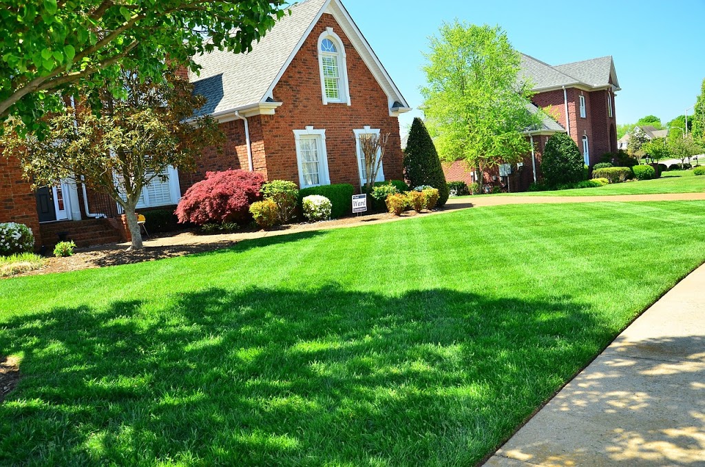 Silver Maple Maintenance | 67 Dudhope Ave, Cambridge, ON N1R 4T6, Canada | Phone: (226) 791-7517