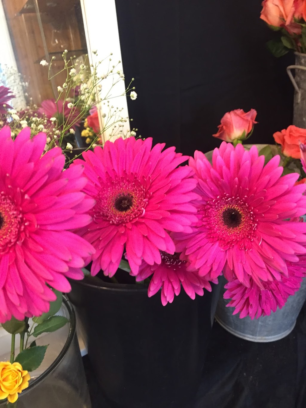 Eramosa Garden Centre | 5104 3 Line, Guelph/Eramosa, ON N0B 2K0, Canada | Phone: (519) 993-2583