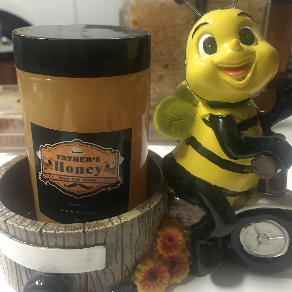 father‘s honeybee farm | 1093 216 St, Langley, BC V2Z 1R3, Canada | Phone: (778) 951-2105