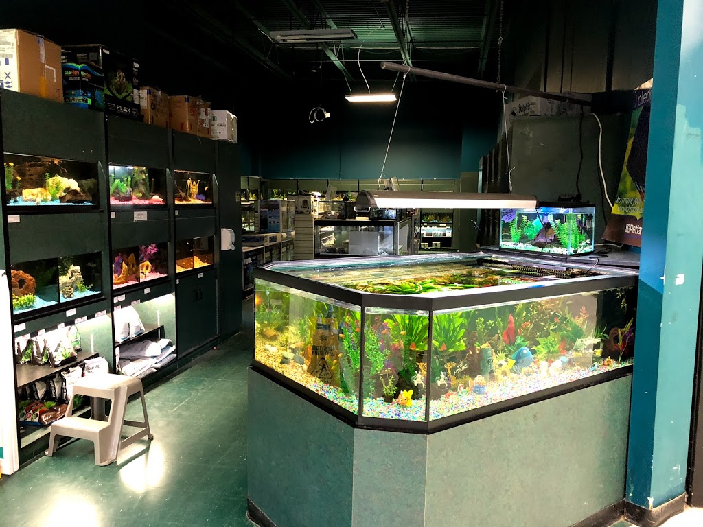 Petland | 3363 26 Ave NE, Calgary, AB T1Y 6L4, Canada | Phone: (403) 543-7711
