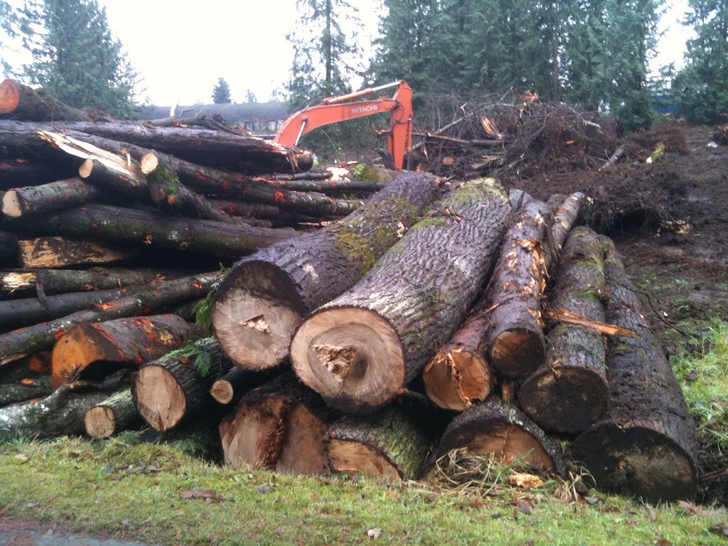 Steidle Farms | 30200 Burgess Ave, Abbotsford, BC V4X 1V5, Canada | Phone: (604) 607-6697