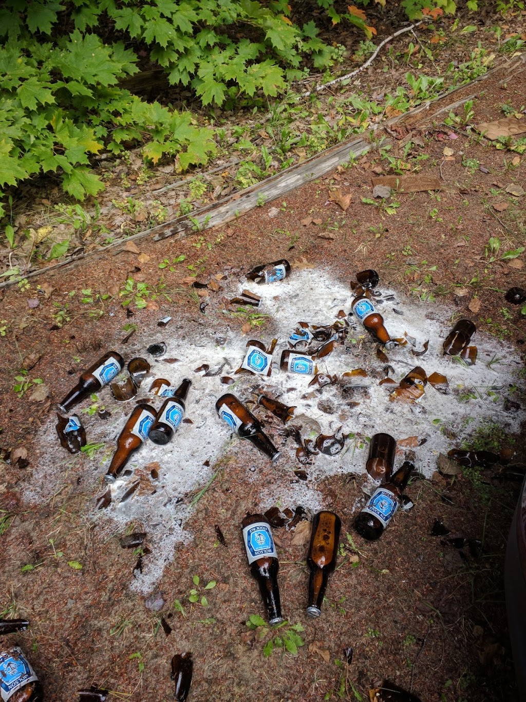 Beer Store 3543 | 17 William St, Parry Sound, ON P2A 1V2, Canada | Phone: (705) 746-5161