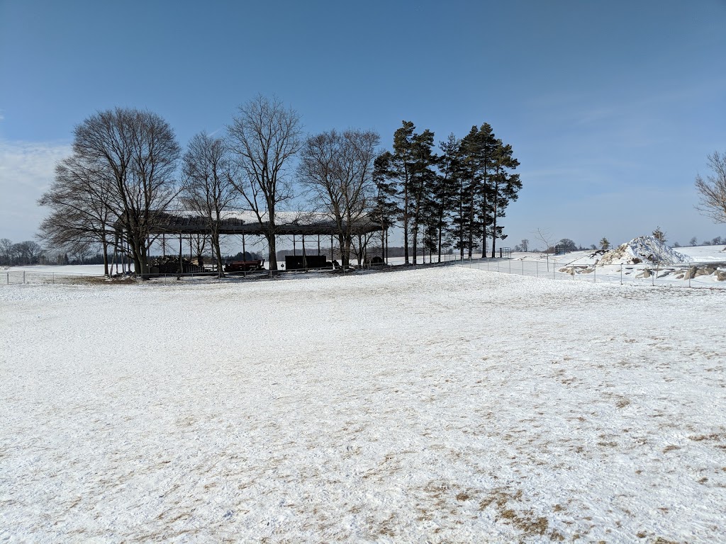 Masters N Hounds | 2517 Fischer-Hallman Rd, Ayr, ON N0B 1E0, Canada | Phone: (519) 696-3647