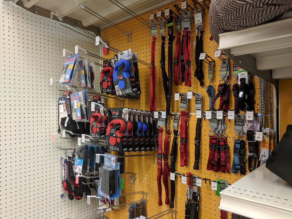 Canadian Tire | 1170 Rte de lÉglise, Québec, QC G1V 3W7, Canada | Phone: (418) 659-4882