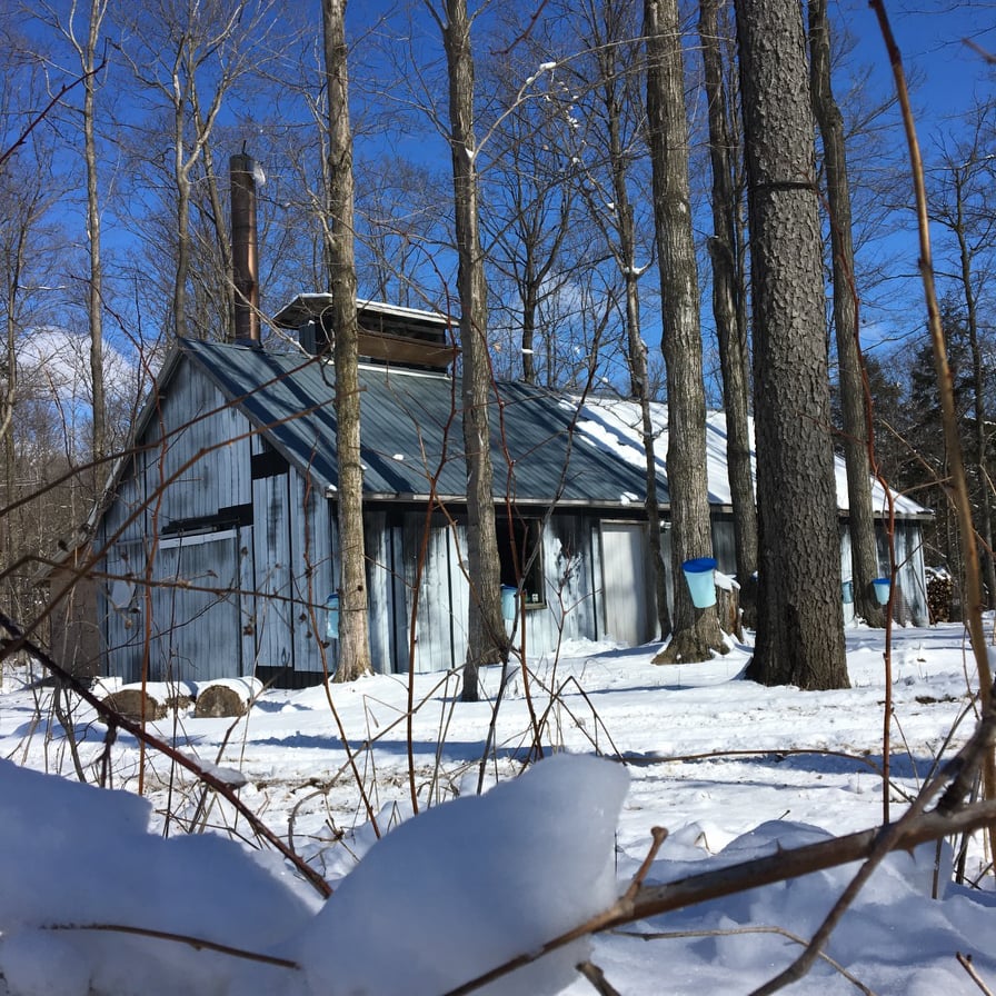 Sand Hills Maple Products | 1090 Manser Rd, Wellesley, ON N0B 2T0, Canada | Phone: (519) 656-3347