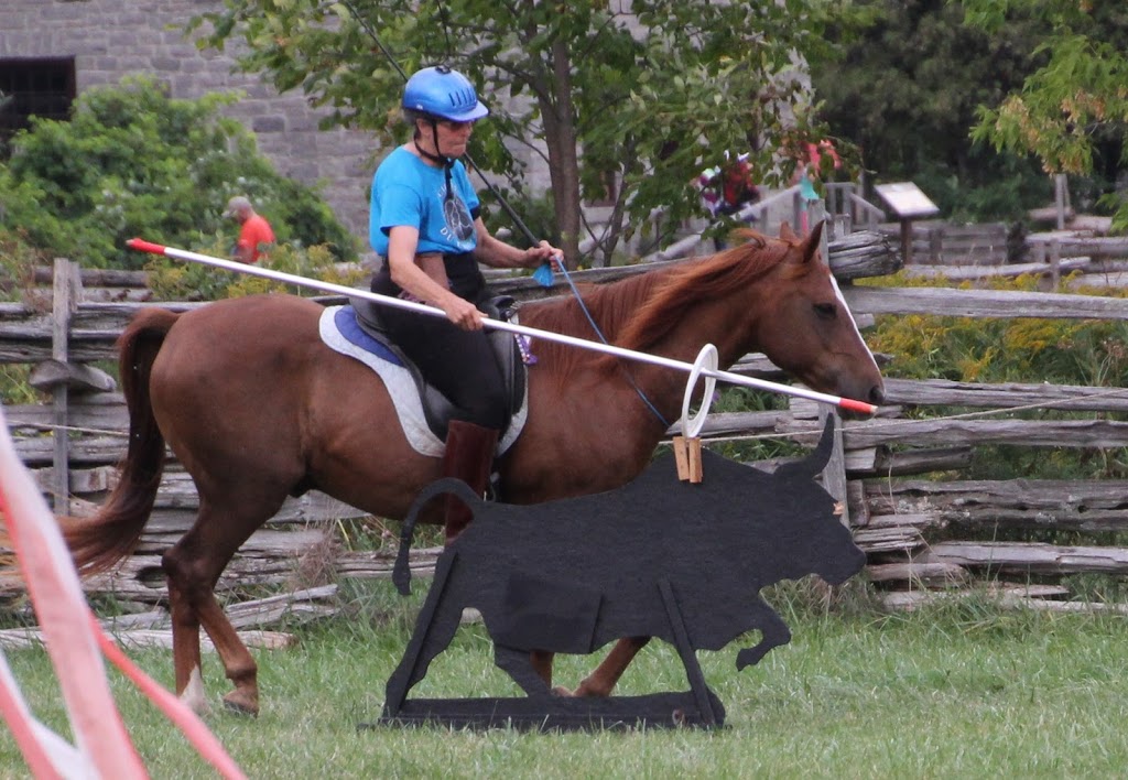 Punkin Patch Farm | 338 Chemin du Petit-Brûlé, Rigaud, QC J0P 1P0, Canada | Phone: (450) 451-1158