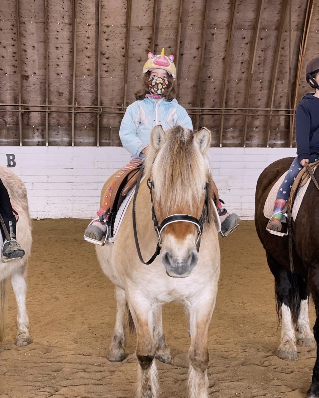 Meadow Green Stables | 1727 Loudoun Rd, Winnipeg, MB R3S 1A3, Canada | Phone: (204) 895-1911
