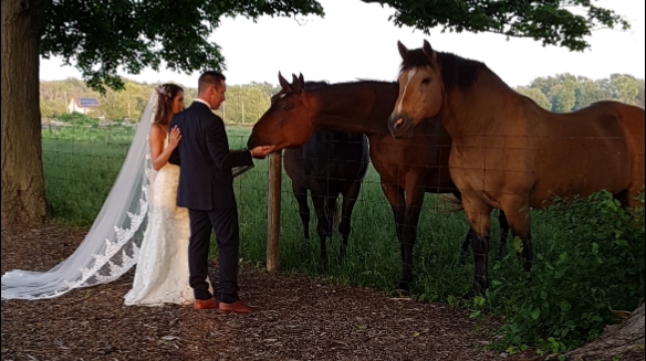Makeup & Hair by Amy Share | 33 Dennison St, King City, ON L7B 1G1, Canada | Phone: (416) 556-3051
