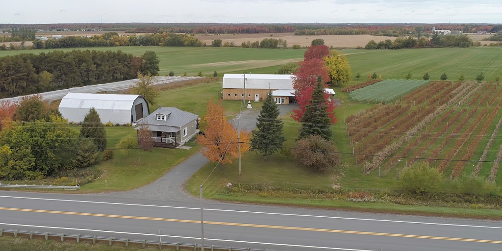 Vignoble Terre des Passions | 1218 QC-161, Saint-Valère, QC G0P 1M0, Canada | Phone: (418) 815-7572