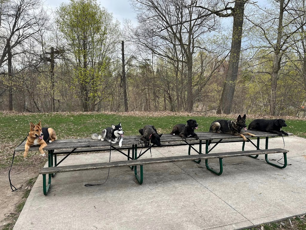 Frontier Canine Boarding | 5661 Egremont Dr, Ilderton, ON N0M 2A0, Canada | Phone: (416) 707-0281
