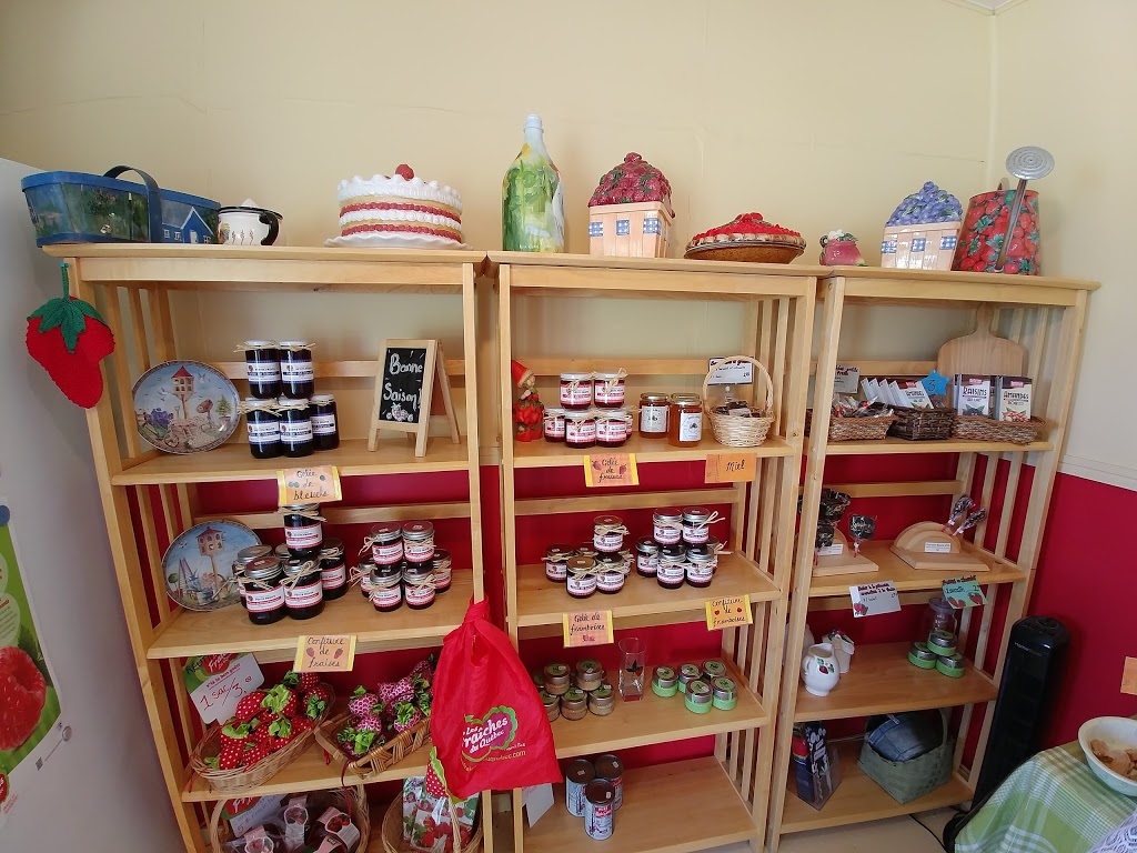 Au pays des petits fruits | 11000 Rang Ste-Henriette, Mirabel, QC J7J 1Z9, Canada | Phone: (450) 475-6158