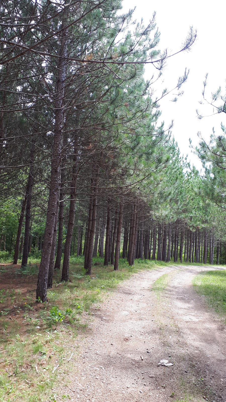 SAQMAQ park and walking trail | 964 Robinson Rd #932, Shubenacadie, NS B0N 2H0, Canada | Phone: (902) 236-2171