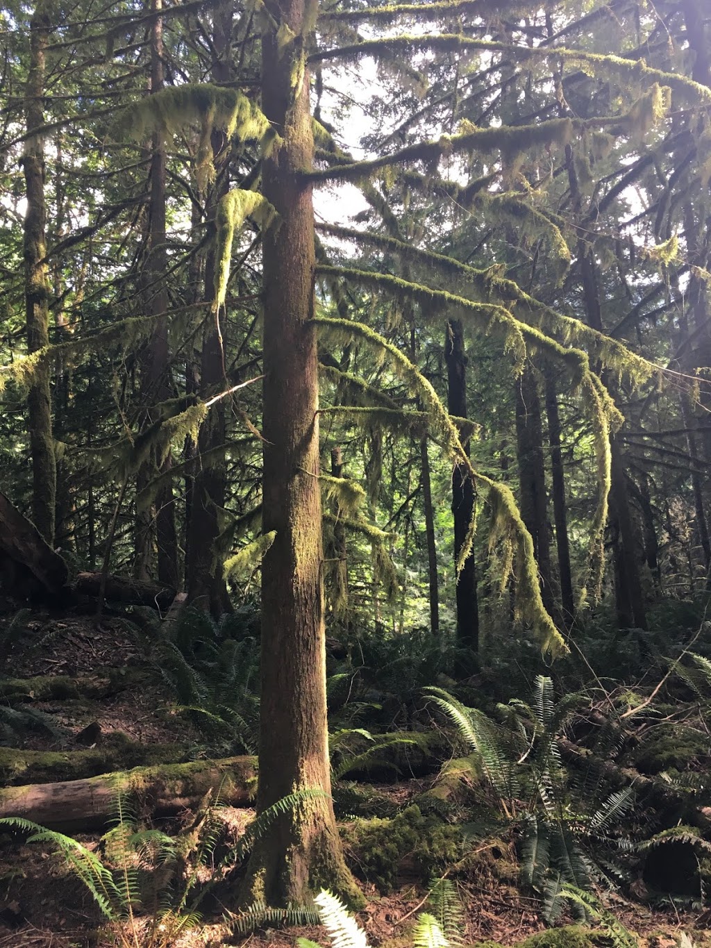 Watt Creek | Fraser Valley E, BC V2R 5A3, Canada