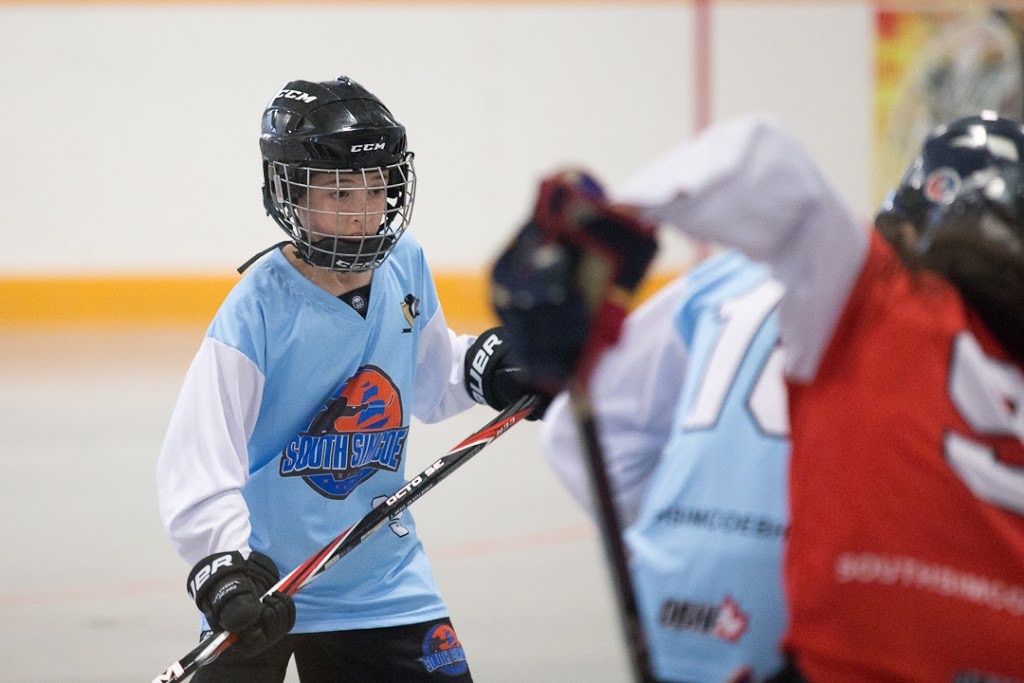 South Simcoe Ball Hockey Leagues | 1145 Innisfil Beach Rd, Innisfil, ON L9S 4B2, Canada | Phone: (416) 671-3893