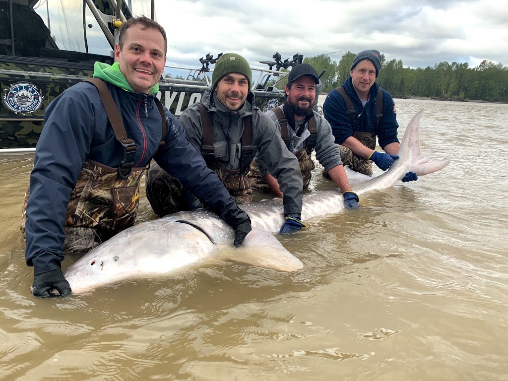 Kilbylodge-Sturgeon Adventures | 76 Kilby Rd, Agassiz, BC V0M 1A1, Canada | Phone: (604) 316-3988