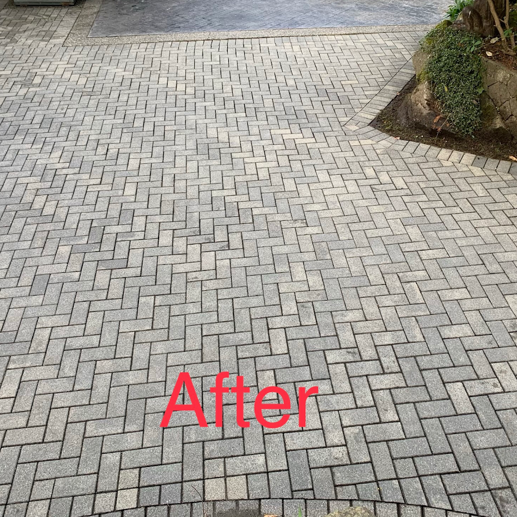 Chadam Cleaning | 10829 Dallain Pl, North Saanich, BC V8L 5M7, Canada | Phone: (778) 922-2597